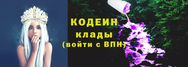 хмурый Арсеньев