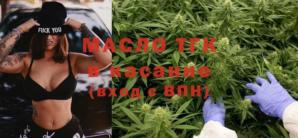 хмурый Арсеньев