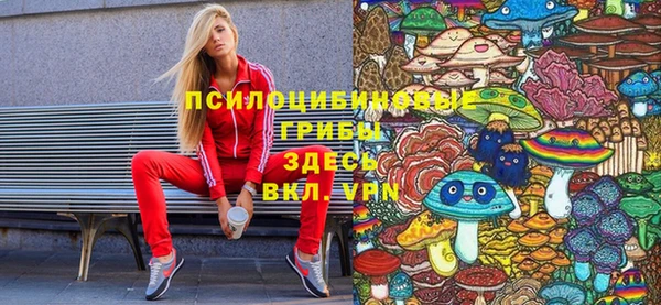 хмурый Арсеньев