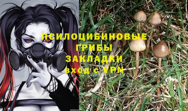 mix Аркадак