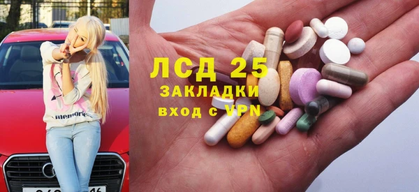 хмурый Арсеньев
