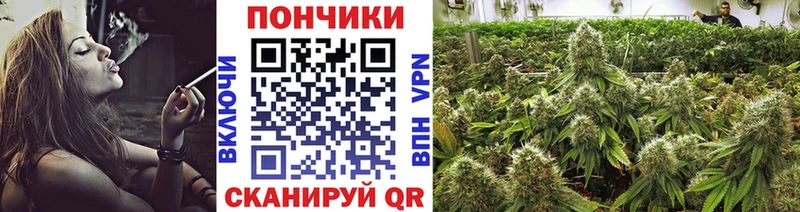 Каннабис конопля  Купить  Опочка 